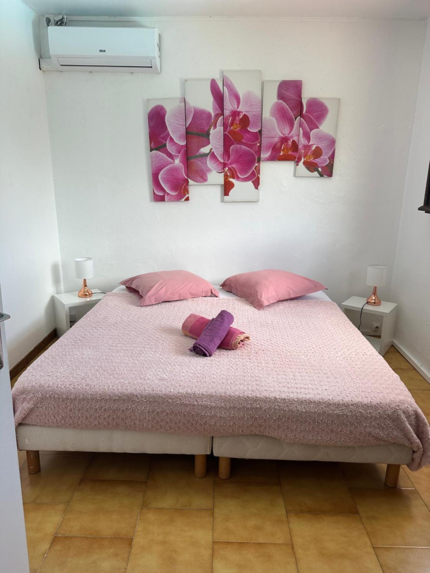 Villa Les Orchidees Et Villa Alpinia 프티-부르 외부 사진